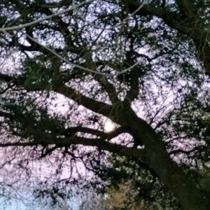 Meet your Posher, Cecilia